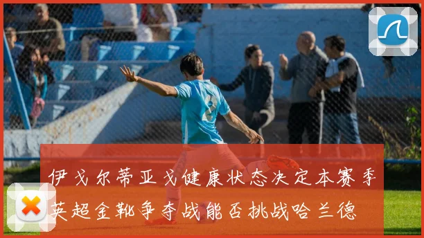 伊戈尔蒂亚戈健康状态决定本赛季英超金靴争夺战能否挑战哈兰德